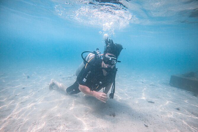 Fun Dives For Certified Divers - An In-Depth Look at the Galle Certified Dive Experience