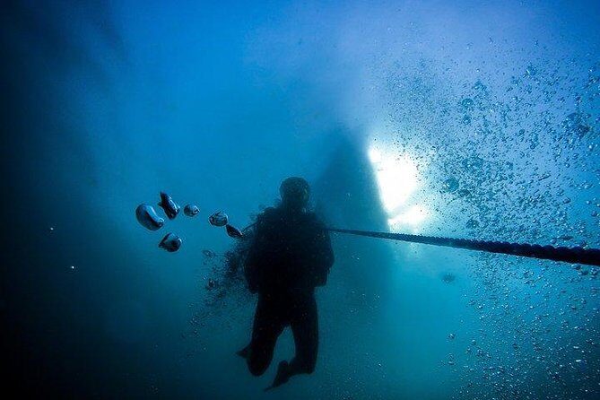 Fun Dives For Certified Divers - The Sum Up