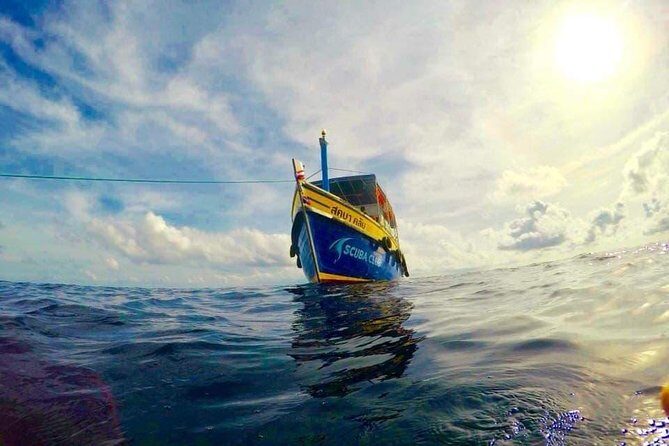 Fun Diving Packages (Certified Divers) - The Sum Up