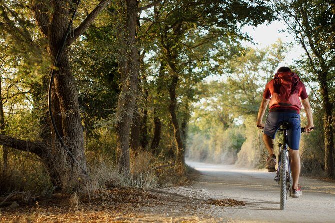 FUN E-BIKE RIDE at CAPE KAMENENJAK - The Route and Terrain: What to Expect