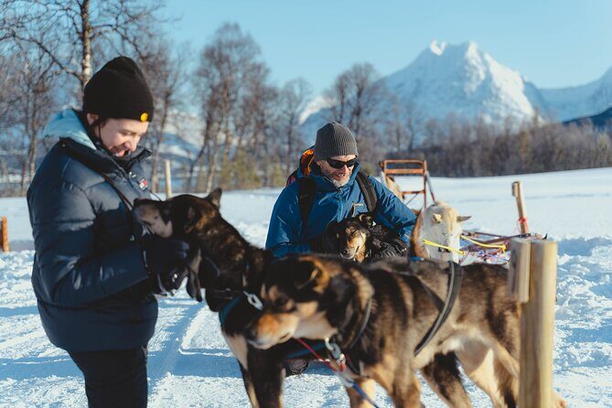 Fun & Easy Dog Sledding Adventure - Early Bird Tour - Detailed Analysis of the Experience