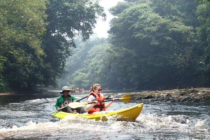 Fun Filled Kayaking Adventure in Kuching - Who Would Love This Tour?