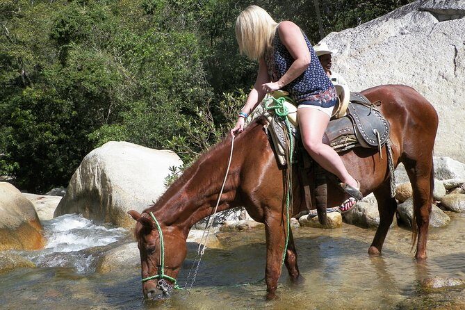 Fun Horseback Tour in Mismaloya - An In-Depth Look at the Mismaloya Horseback Experience