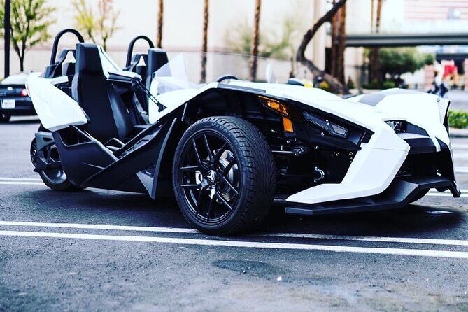 Fun Miami Beach slingshot adventure self guided tour - Who Is This Tour Best For?