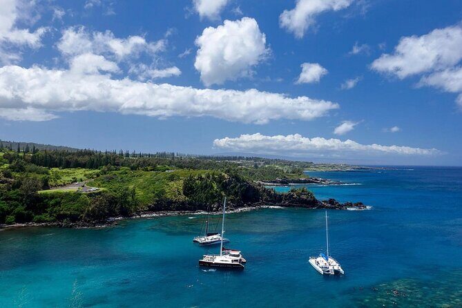 Fun! Open-Air Banyan Tree Forest & Blowhole Sight-Seeing MauiTour - Price & Value