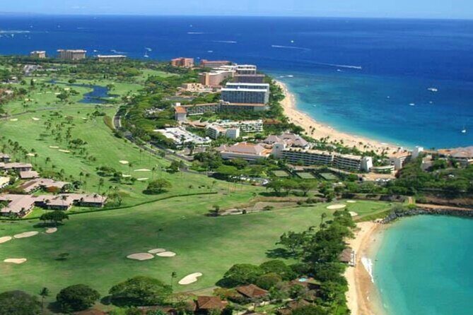 Fun! Open-Air Banyan Tree Forest & Blowhole Sight-Seeing MauiTour - Authentic Traveler Experiences