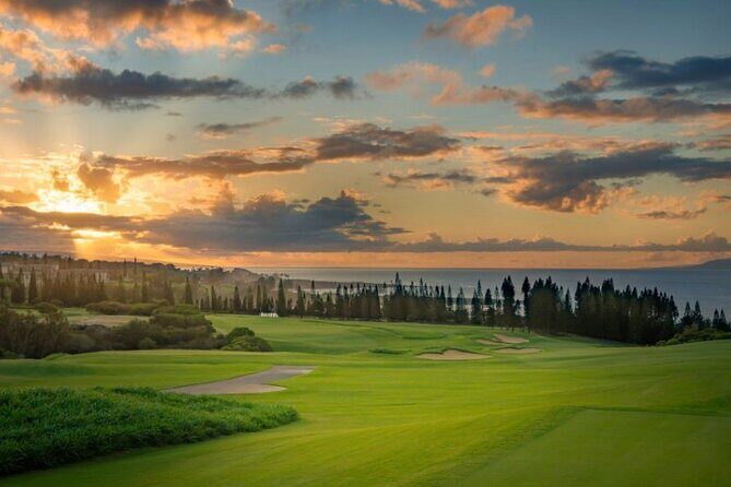 Fun! Open-Air Banyan Tree Forest & Blowhole Sight-Seeing MauiTour - Final Thoughts: Who Should Book This Tour?