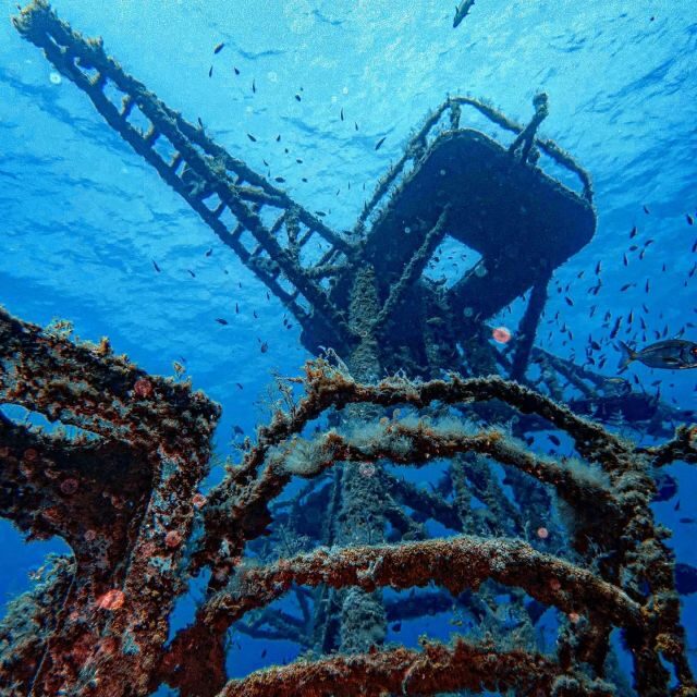 Funchal: Advanced Scuba Diving Afonso Cerqueira Wreck - An In-Depth Look at the Madeira Afonso Cerqueira Wreck Tour