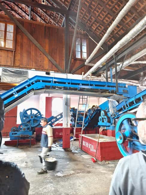 Funchal Agriculture Green Tour - Key Points