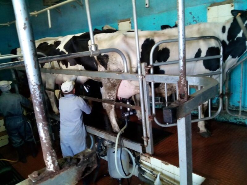 Funchal Agriculture Green Tour - The Itinerary in Detail