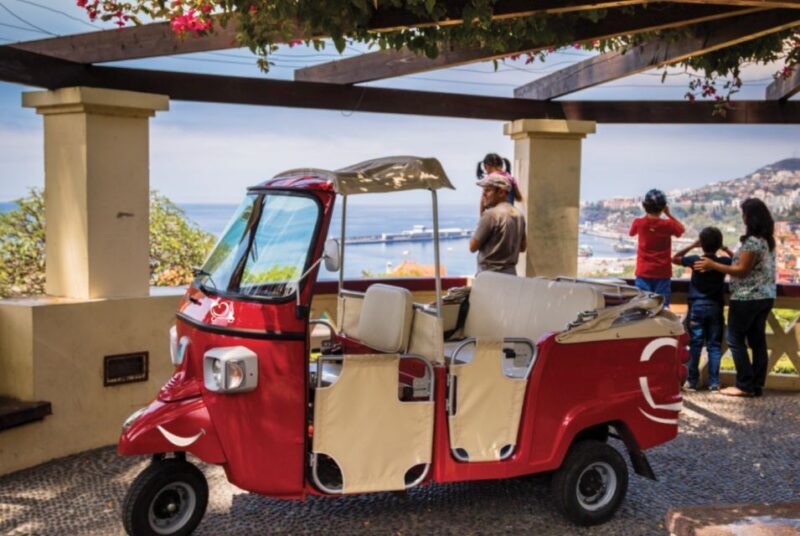 Funchal at Night Private Tour by Tuk Tuk - What Makes This Tour Stand Out?