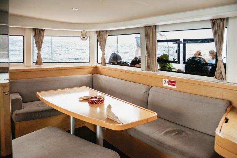 Funchal Bay: Dolphin & Whale Watch Luxury Catamaran Cruise - Final Thoughts