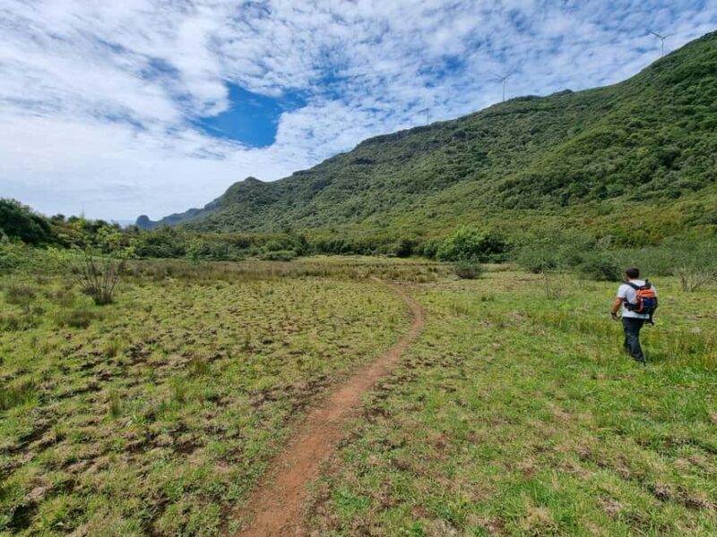 Funchal: Bica da Cana to Encumeada Guided Hike with Pickup - Introduction