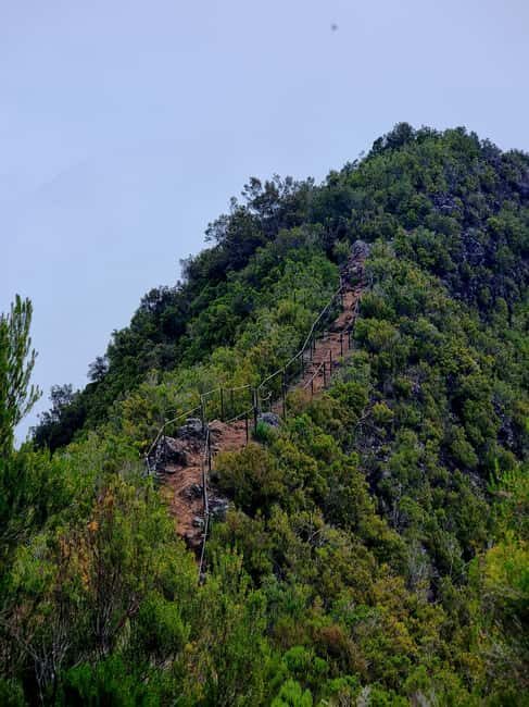 Funchal: Bica da Cana to Encumeada Guided Hike with Pickup - The Itinerary in Detail