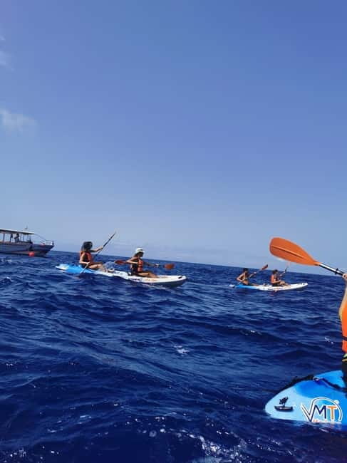Funchal Boat trip with Kayak Experience - A Closer Look at the Funchal Kayak and Boat Trip