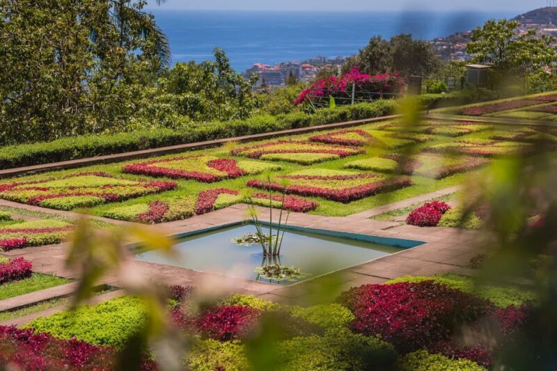 Funchal: Botanical Garden and Old Town Private Tuk-Tuk Tour - Key Points