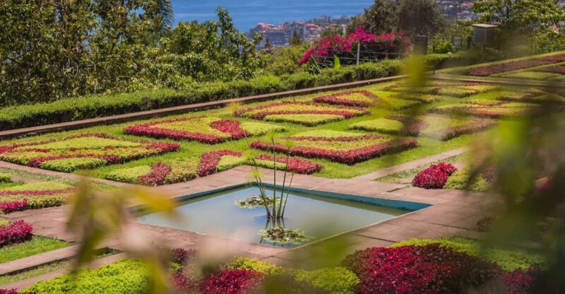 Funchal: Botanical Garden and Old Town Private Tuk-Tuk Tour - An Overview of the Experience