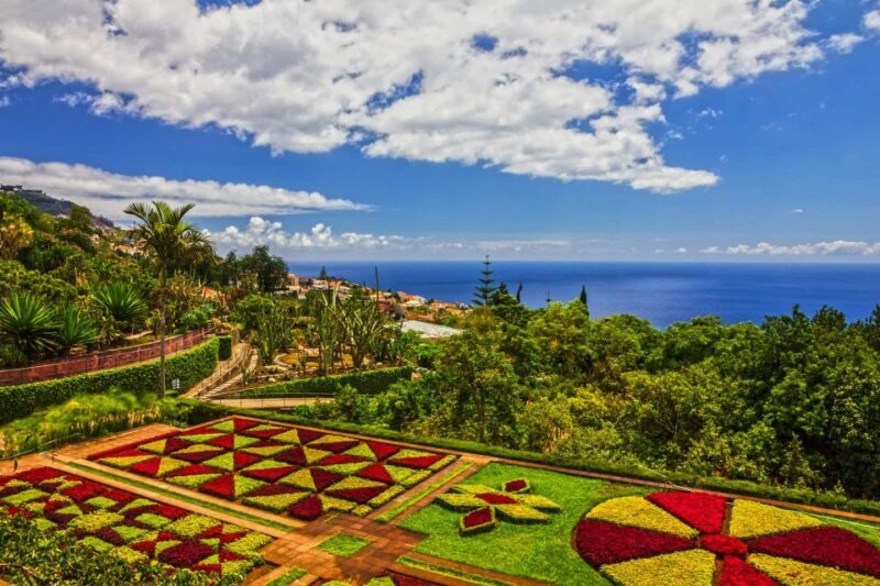 Funchal: Botanical Garden and Old Town Private Tuk-Tuk Tour - The Botanical Garden Experience
