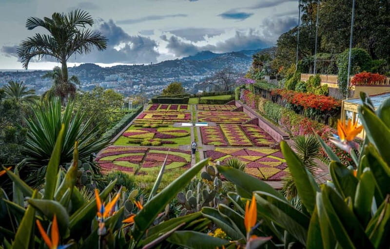 Funchal: Botanical Garden & Old Town Tour by TukTuk (1h45) - What You Get for the Price