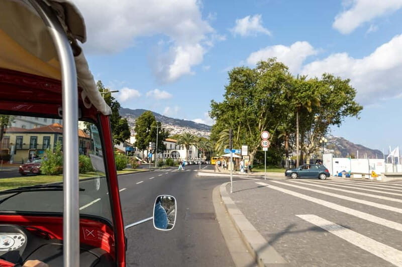 Funchal: Botanical Garden & Old Town Tour by TukTuk (1h45) - The Sum Up