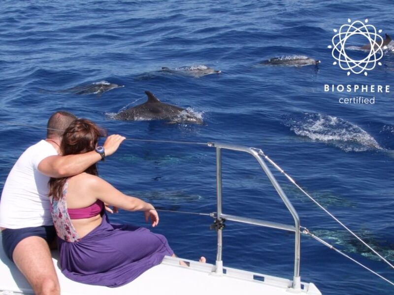 Funchal: Cabo Girão, Wines Tasting and Dolphins Watching - Key Points