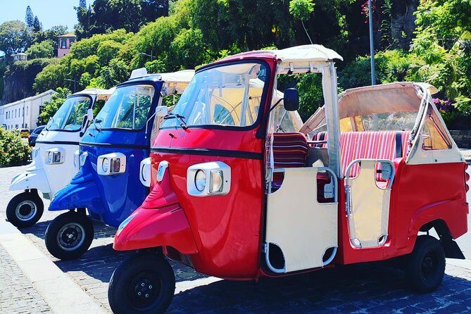 Funchal City Tour + Old Town - Who Will Love This Tour?