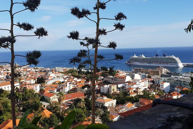Funchal City Tour + Old Town - Final Thoughts
