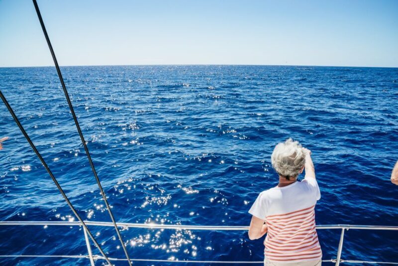 Funchal: Dolphin and Whale Watching by Luxury Catamaran - Key Points