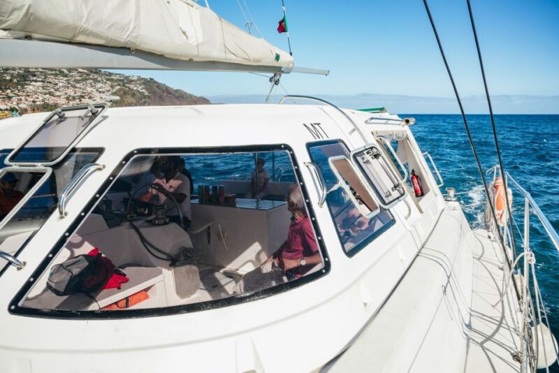 Funchal: Dolphin and Whale Watching by Luxury Catamaran - Practical Tips for Travelers