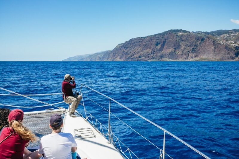 Funchal: Dolphin and Whale Watching by Luxury Catamaran - Final Thoughts