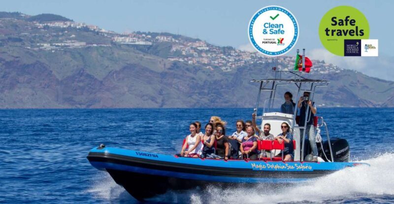 Funchal: Dolphin and Whale Watching Cruise - Funchal: Dolphin and Whale Watching Cruise — An In-Depth Review