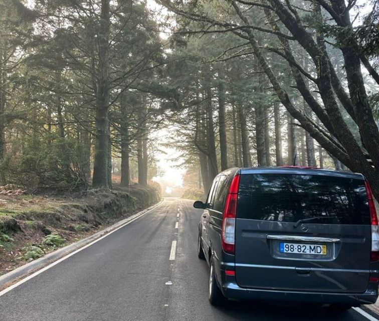 Funchal: East Madeira Island Guided Tour & Laurissilva Walk - An In-Depth Look at the Tour