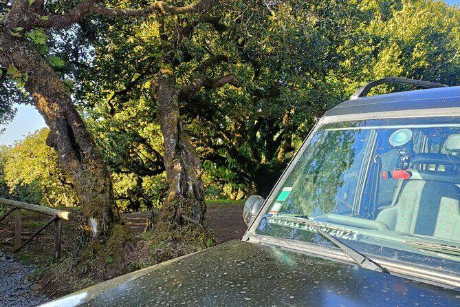 Funchal: Experiência 4WD Skywalk para Seixal Porto Moniz, Fanal - Final Thoughts