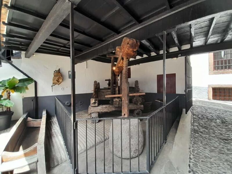 Funchal Flavours - Authentic Experiences and Local Insights