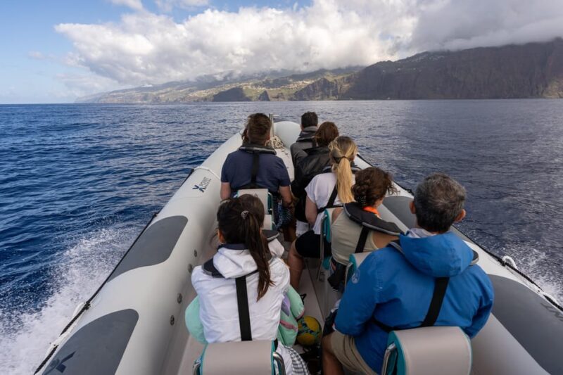 Funchal: Guarantee Wild Dolphin&Whale Watching by RIB - Final Thoughts
