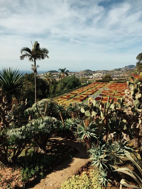 Funchal: Guided Old Town Tuk Tuk Tour and Botanical Gardens - Key Points