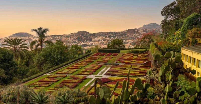 Funchal: Guided Old Town Tuk Tuk Tour and Botanical Gardens - Why This Tour Is a Great Choice