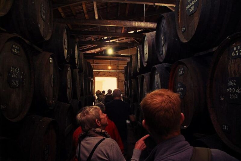 Funchal: H.M. Borges Winery Guided Tour with Wine Tasting - FAQs