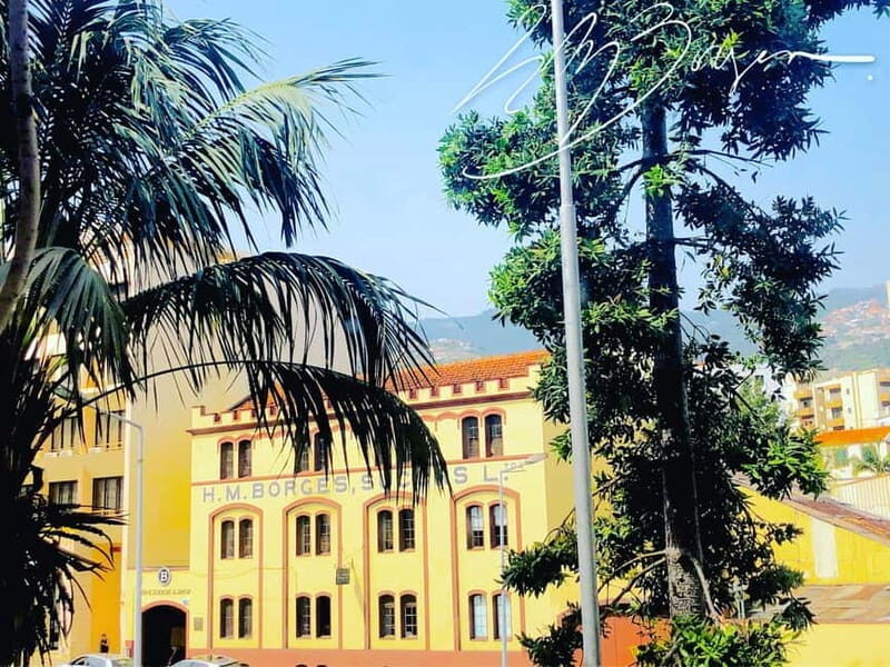 Funchal: H.M. Borges Winery Private Tour and Wine Tasting - Why This Tour Is Worth Considering