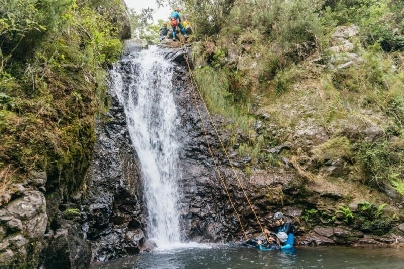 Funchal: Half-Day Beginner-Friendly Canyoning Experience - FAQs
