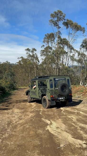 Funchal: Half-Day Jeep Tour with Cabo Girão Skywalk - Who Will Love This Tour?