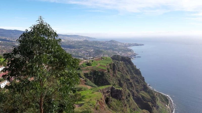Funchal: Half-Day South Madeira Island Private Tour - Key Points