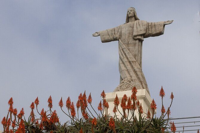 Funchal highlights 5h Private Tour in Madeira - How the Tour Starts: Convenience and Comfort
