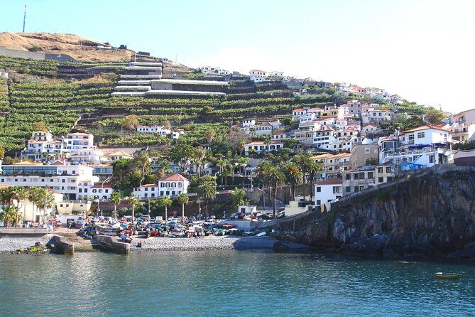 Funchal Hop-On Hop-Off Tour 3 in 1 - Price, Value, and Practical Tips