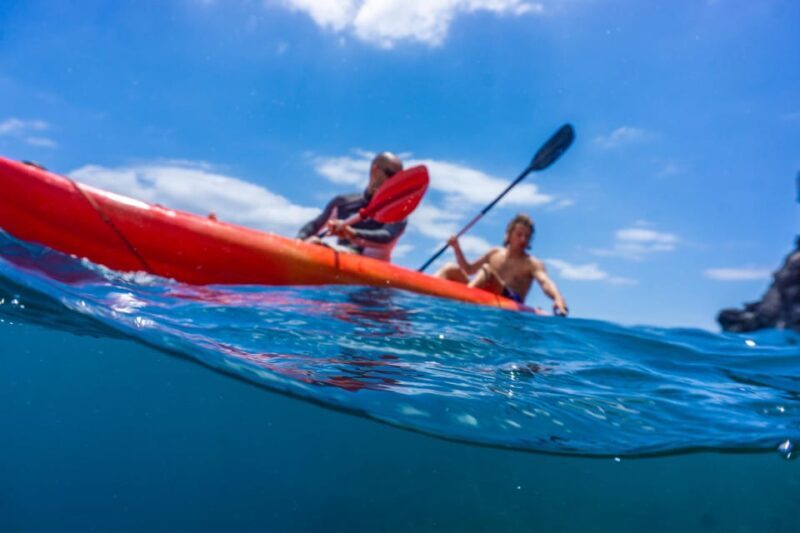 Funchal: KAYAK Rental or Guided tour with snorkeling - The Sum Up: Who Should Sign Up?