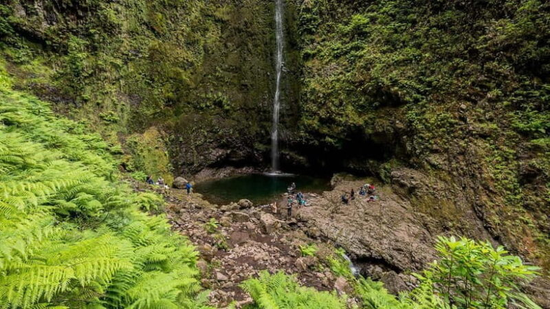 Funchal: Levada Caldeirão Verde Waterfalls and Forests Hike - Setting the Scene: What to Expect on the Trail