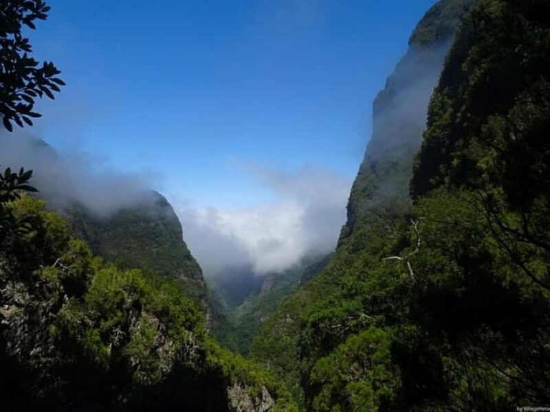 Funchal: Levada Caldeirão Verde Waterfalls and Forests Hike - Pricing and Value