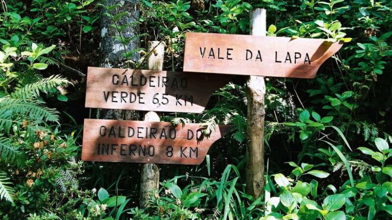 Funchal: Levada Caldeirão Verde Waterfalls and Forests Hike - Final Thoughts