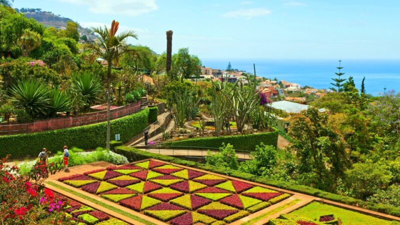Funchal: Madeira Botanical Garden Private Tuk-Tuk Tour - The Itinerary and What to Expect