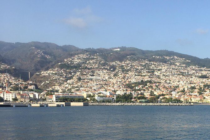 Funchal, Madeira Short Visit Shore Excursion - Who Will Love This Tour?